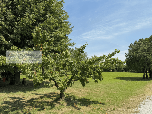 006__villasingola-duelivelli-giardino-garage-treviso__7_wmk_0