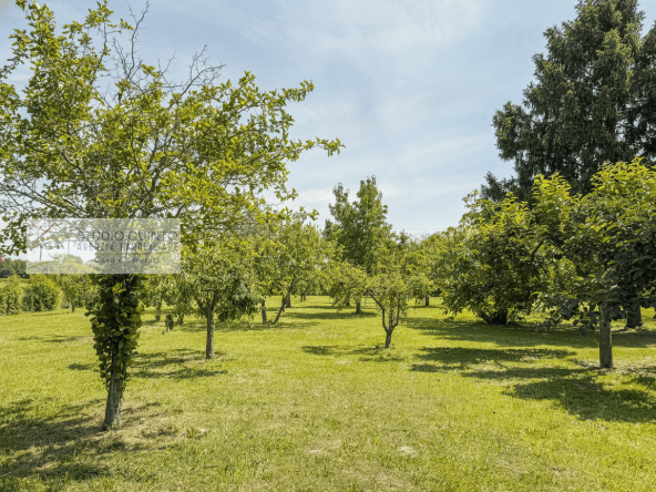 010__villasingola-duelivelli-giardino-garage-treviso__11_wmk_0