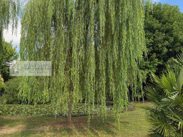 004__aziendaagricola-vivaio-sile-piante-serre-laghetto__5_wmk_0