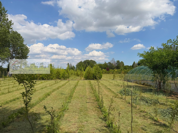 013__aziendaagricola-vivaio-sile-piante-serre-laghetto__14_wmk_0