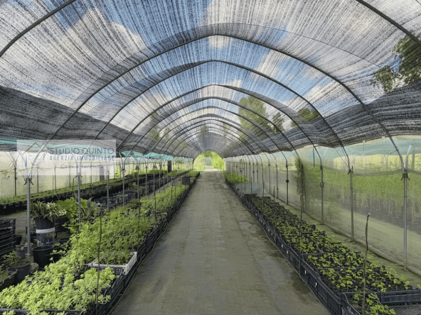 016__aziendaagricola-vivaio-sile-piante-serre-laghetto__17_wmk_0