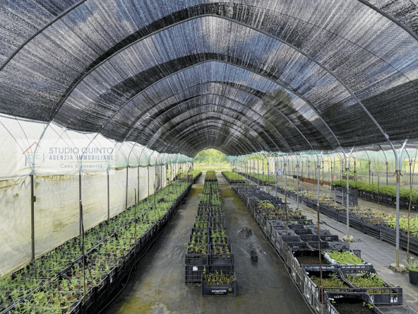 017__aziendaagricola-vivaio-sile-piante-serre-laghetto__18_wmk_0