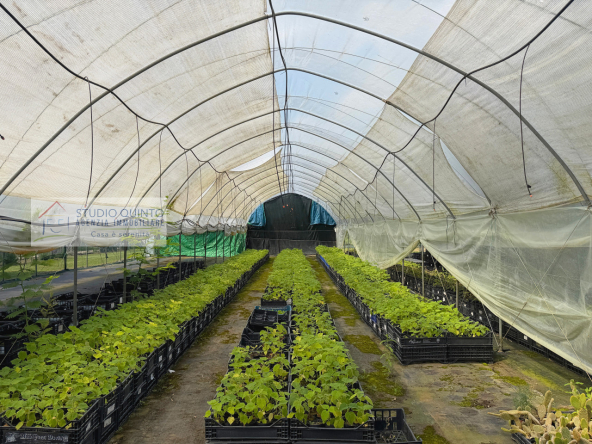 020__aziendaagricola-vivaio-sile-piante-serre-laghetto__21_wmk_0