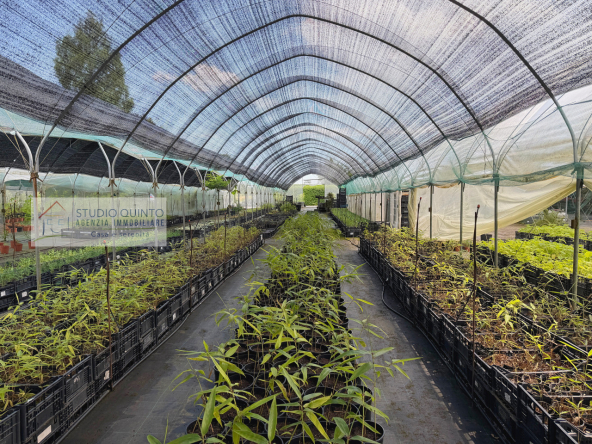 021__aziendaagricola-vivaio-sile-piante-serre-laghetto__22_wmk_0