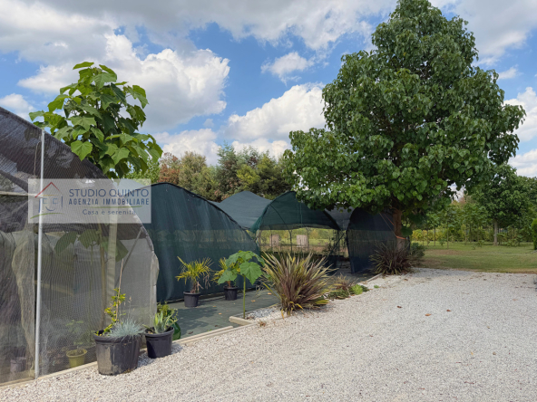 025__aziendaagricola-vivaio-sile-piante-serre-laghetto__26_wmk_0