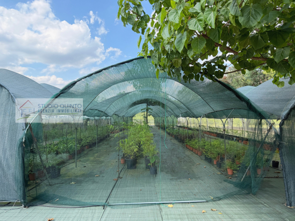 027__aziendaagricola-vivaio-sile-piante-serre-laghetto__28_wmk_0