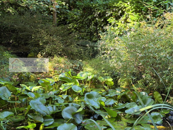 001__bifamiliare-giardino-bosco-laghetto-comfort__2_wmk_0