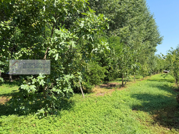 039__bifamiliare-giardino-bosco-frutteto-laghetto__40_wmk_0