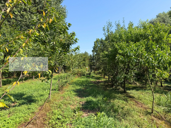 040__bifamiliare-giardino-bosco-frutteto-laghetto__41_wmk_0