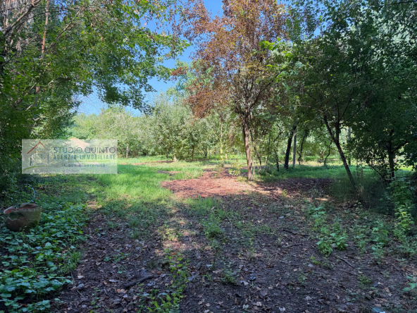 045__bifamiliare-giardino-bosco-frutteto-laghetto__46_wmk_0