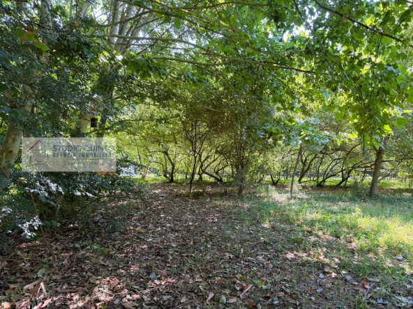 046__bifamiliare-giardino-bosco-frutteto-laghetto__47_wmk_0