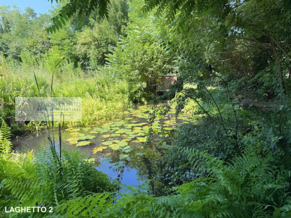 047__bifamiliare-giardino-bosco-frutteto-laghetto__48_wmk_0