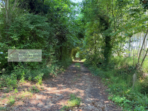 049__bifamiliare-giardino-bosco-frutteto-laghetto__50_wmk_0