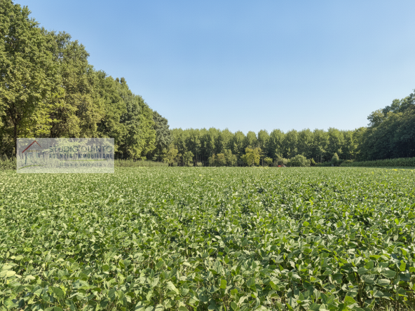 001__capannone-cantina-terrenoagricolo-macchinariagricoli__2_wmk_0