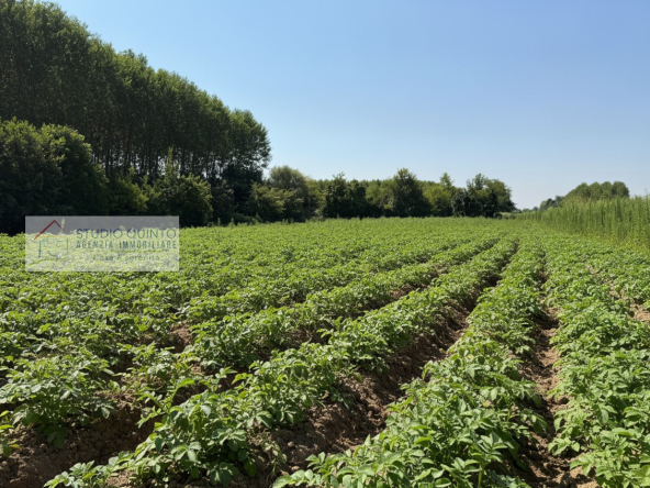 001__terreno-campagna-coltivazione-zerobranco__2_wmk_0