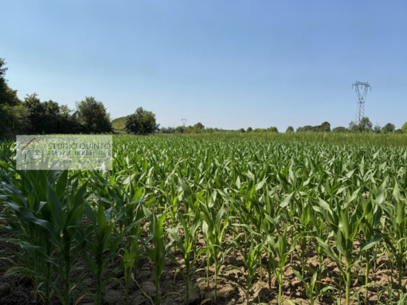 002__terreno-campagna-coltivazione-zerobranco__3_wmk_0