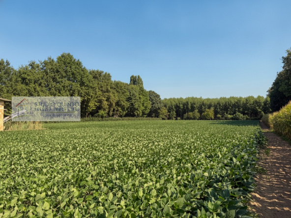 004__capannone-cantina-terrenoagricolo-macchinariagricoli__5_wmk_0