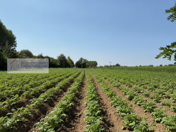004__terreno-campagna-coltivazione-zerobranco__5_wmk_0