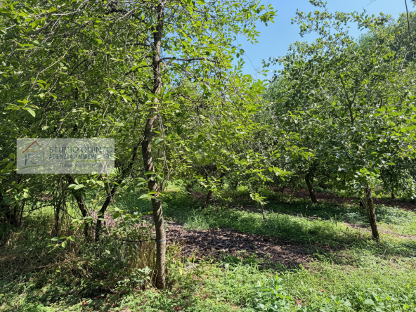 008__frutteto-biologico-naturale-irriguo-frutto-laghetto__8_wmk_0