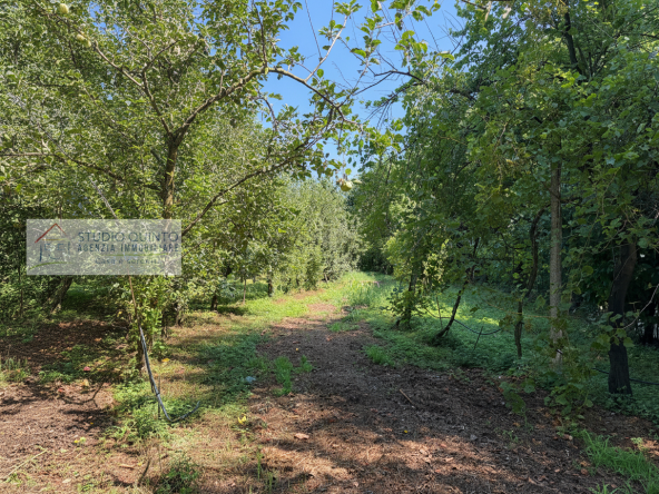 009__frutteto-biologico-naturale-irriguo-frutto-laghetto__10_wmk_0