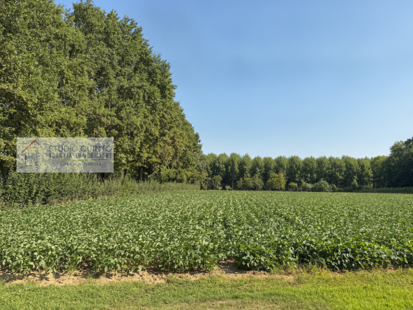 037__casasingola-quattrocamere-terreno-capannone-agricolo__38_wmk_0